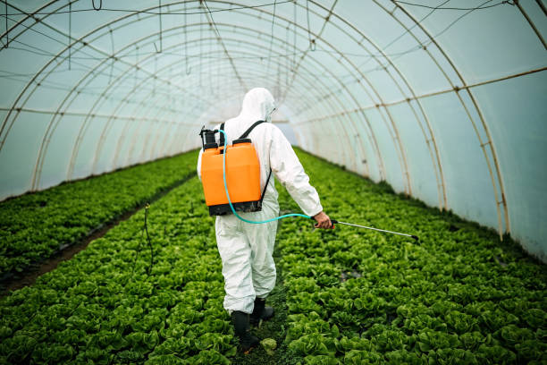 Best Pest Control Near Me  in Seacliff, CA