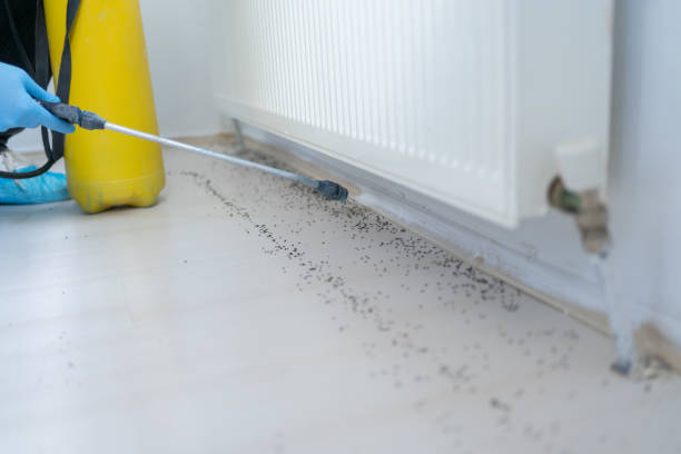 Best Best Pest Control Companies  in Seacliff, CA